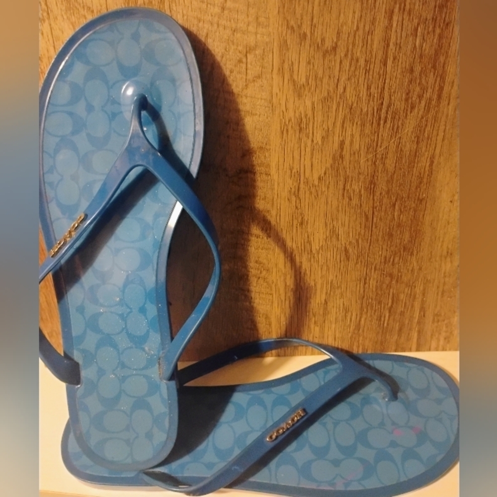 Coach Signature Blue Sandals/Flip Flops